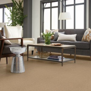 Living room Carpet flooring | Leon Country Floors & More | Sparta, WI