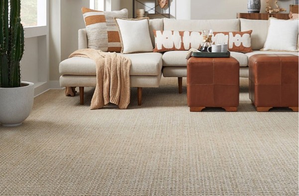 Living room carpet flooring | Leon Country Floors & More | Sparta, WI